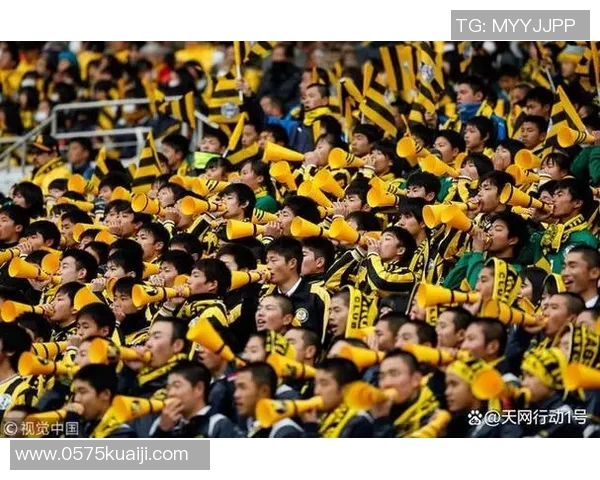 球迷疯狂举动冲进场内抢C罗球衣引发热议